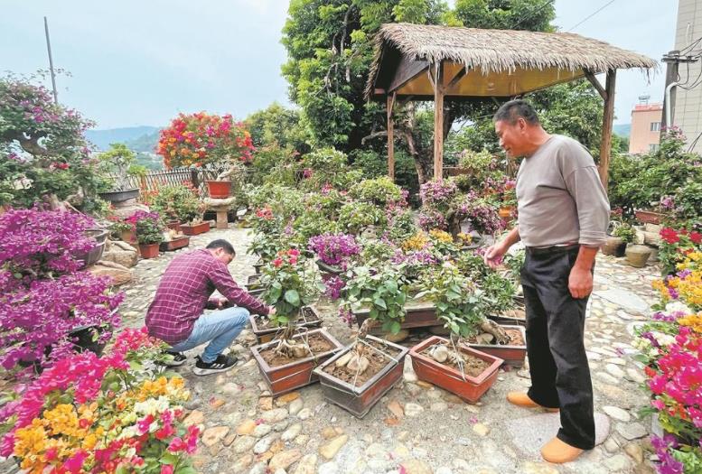 同安(ān)：立足資源禀賦 發力鄉村振興